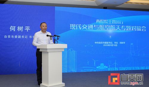 何樹平 借力兩院院士團隊資源 為再造產業自貢提供智力支持